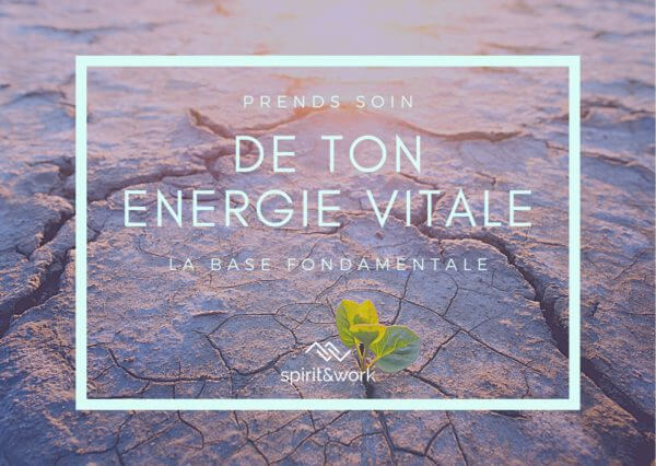 Ebook Energie vitale